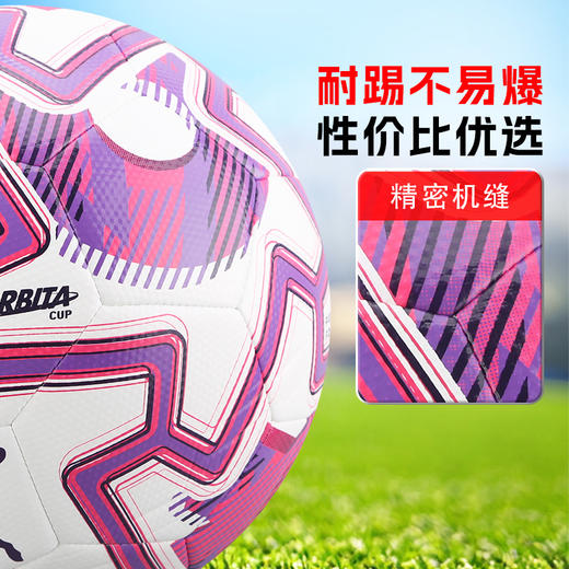 小李子PUMA彪马25-26赛季英超联赛4号5号球机缝训练足球084714 01 商品图2