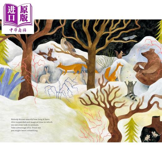 【中商原版】贝法娜的来信 Genni Gunn Yours Befana 英文原版 儿童绘本 图画故事书 亲子读物 进口童书 精装读物 5岁以上 商品图3