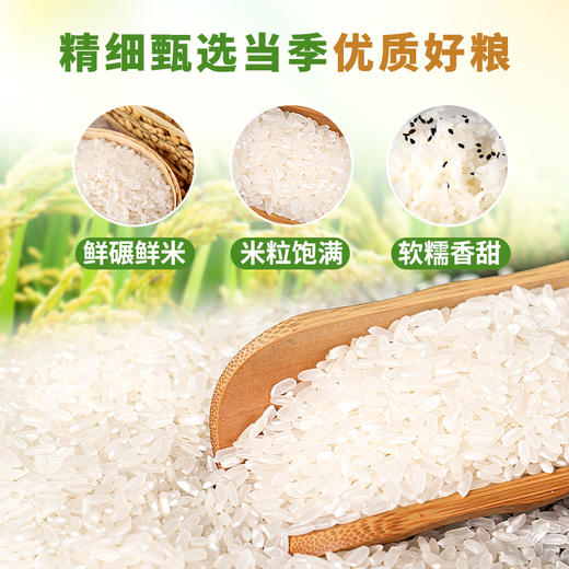 浙享吉品 东北吉林大米 新米 商品图2
