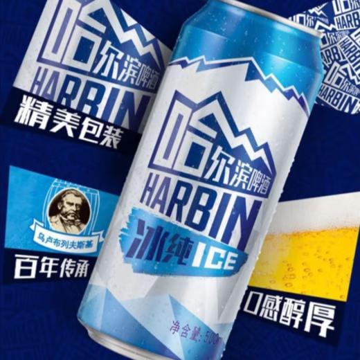 哈尔滨9.1°P冰纯啤酒罐装500ml 商品图2