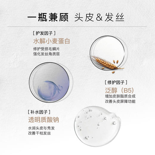 细软掉发专用 · 英国HAIR LABORATORY 咖啡因防断修护洗发水300ml与500ml｜品牌直发 商品图0