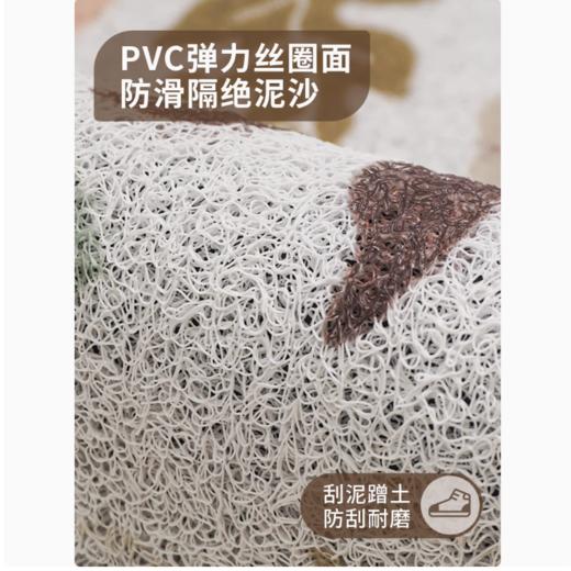 入户门地垫家用中式高级感入户大门口防滑脚垫子进门玄关耐脏地毯 商品图2