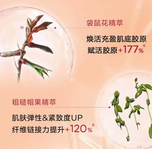 娇韵诗粉水青春赋活精华水200ml（新款） 商品图4