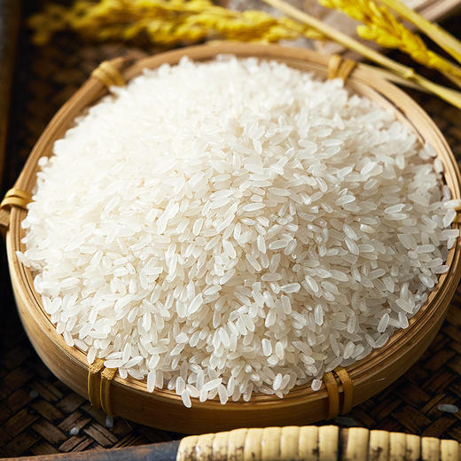 【野森林】真空包装五常大米5kg 商品图5