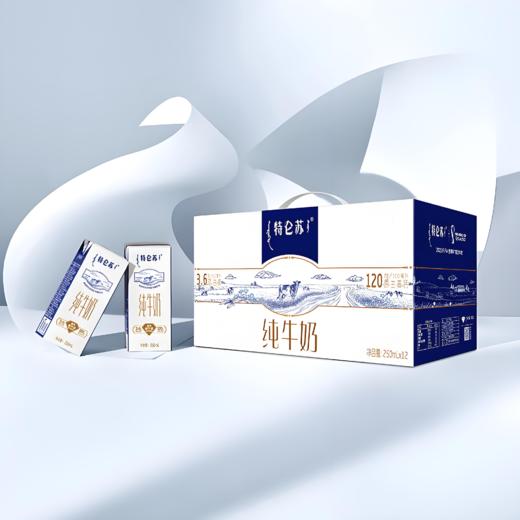 【亚欧超市】蒙牛特仑苏纯牛奶250ml*12/箱 商品图0