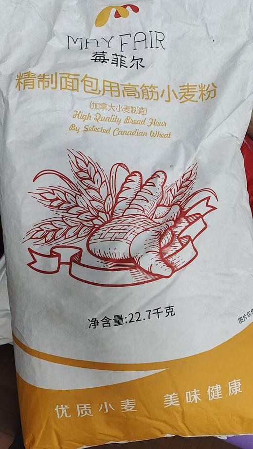 莓菲尔面包小麦粉22.7KG/1包 商品图0