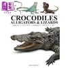 【中商原版】鳄鱼 短吻鳄与蜥蜴图鉴 Crocodiles Alligators Lizards 英文原版 David Alderton 野生动物科普 商品缩略图0