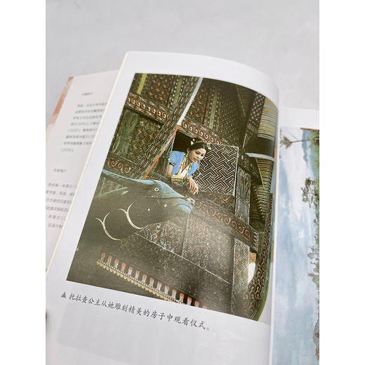 仪式、天堂鸟与香料群岛：印度尼西亚十年探险之旅(远方译丛) 商品图7