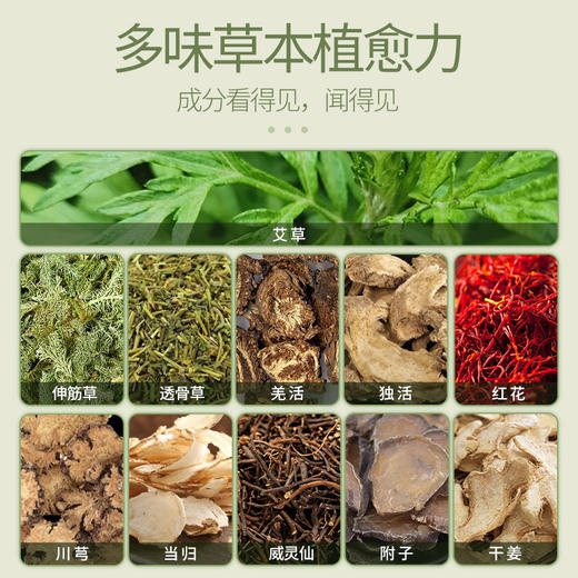 百年扁氏龙凤脉骨膏贴 商品图3