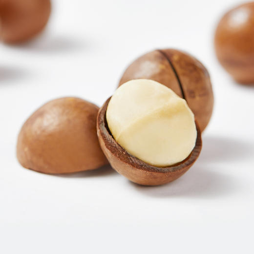 【野森林】罐装 甄选夏威夷果 450g 商品图1