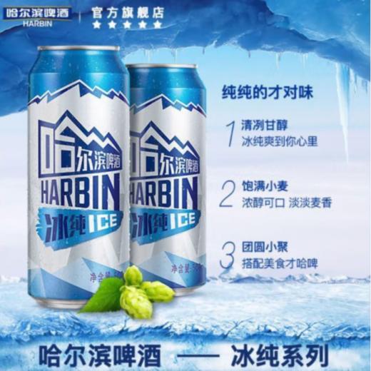 哈尔滨9.1°P冰纯啤酒罐装500ml 商品图3