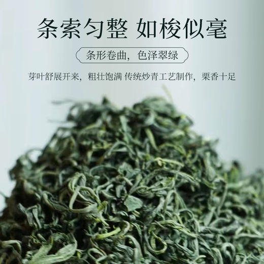 恩施硒茶正宗浓香型玉露春茶雨前正品高山云雾绿茶50g自饮装 CM 商品图2