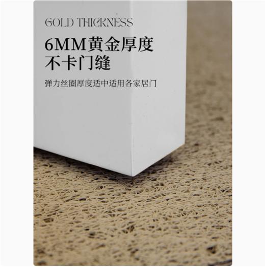 入户门地垫家用中式高级感入户大门口防滑脚垫子进门玄关耐脏地毯 商品图3