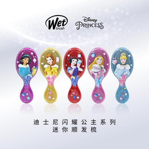 卡通款 迪士尼公主系列顺发梳 美国Wet Brush 国内发货 商品图2