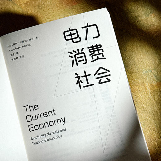 电力消费社会 薄荷实验 电力市场 插座背后的经济学 商品图5