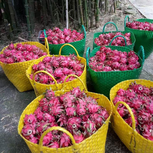 广西红心火龙果金都1号皮薄肉厚新鲜水果 商品图1