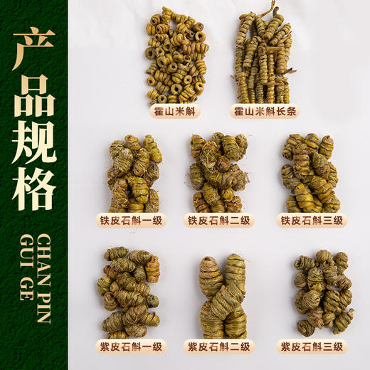 正宗霍山铁皮石斛五年生胶质浓郁仿野生种植霍山铁皮石斛枫斗 商品图3