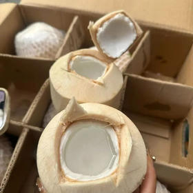 泰国 香水椰青 大果9.9/个 甘甜爽口