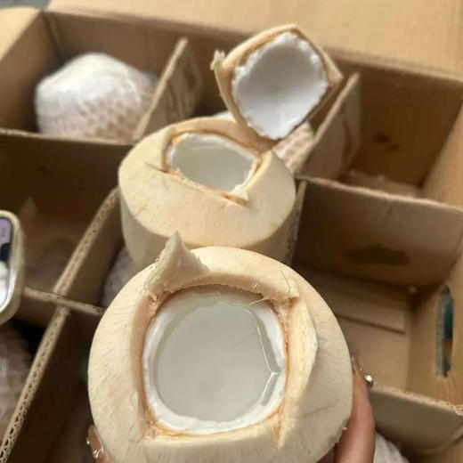 泰国 香水椰青 大果9.9/个 甘甜爽口 商品图0