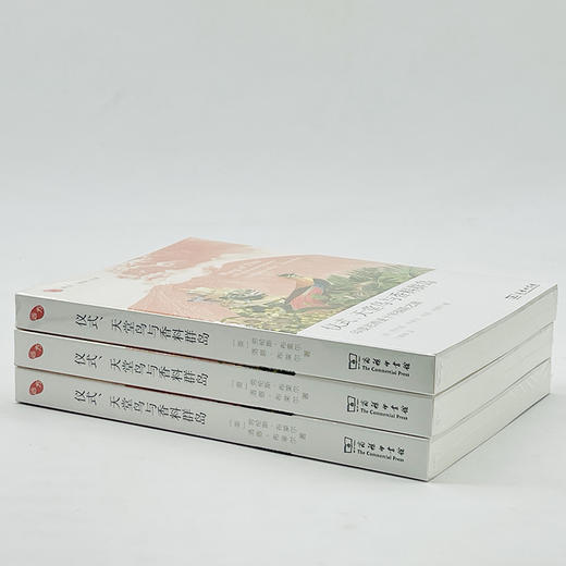 仪式、天堂鸟与香料群岛：印度尼西亚十年探险之旅(远方译丛) 商品图10