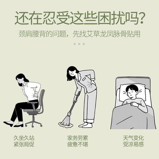 百年扁氏龙凤脉骨膏贴 商品图1