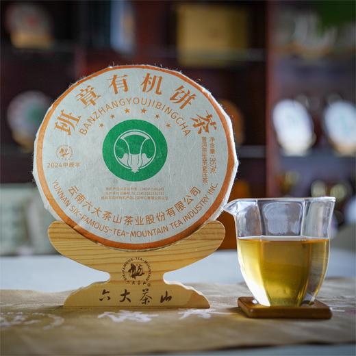 班章有机饼茶-大白菜(2024)/生茶 商品图2