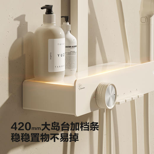 帝王洁具TC24035顶喷花洒隐藏喷枪钢琴键大置物家用淋浴 商品图1