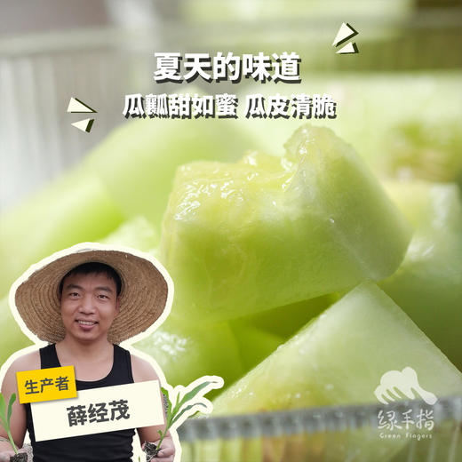 生态甜瓜（一周左右发出）  | 合作生产 * Ecological melon | Partner Production 商品图0