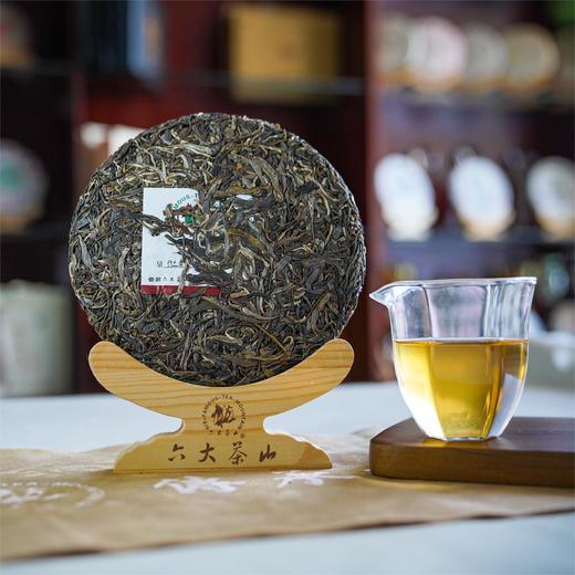 班章有机饼茶-大白菜(2024)/生茶 商品图1