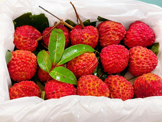 荔枝王 商品图0