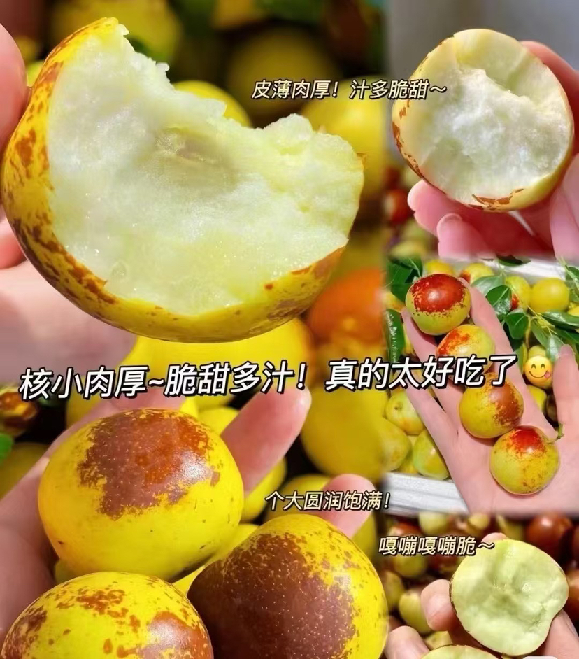 嘎嘣脆甜的冬枣的声音🔊，甜爆的口感真是无敌了。精品礼盒装