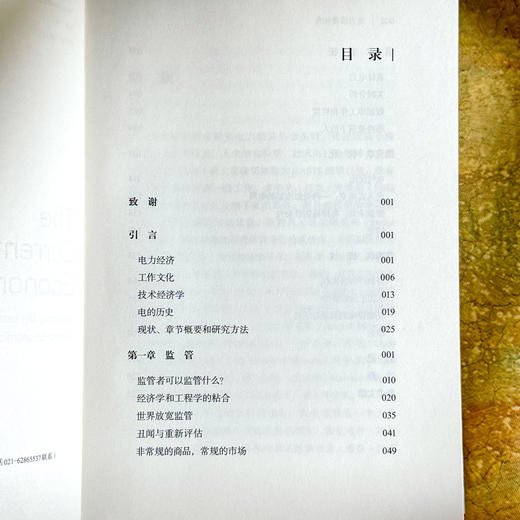 电力消费社会 薄荷实验 电力市场 插座背后的经济学 商品图6