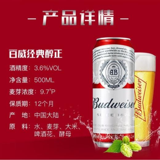 百威啤酒罐装500ml 商品图2