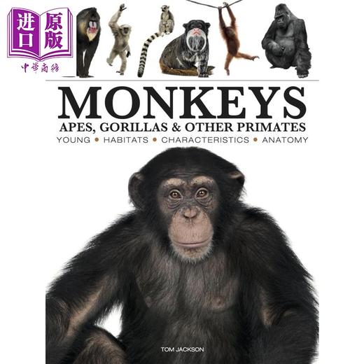 【中商原版】猴子图鉴 Monkeys 英文原版 Tom Jackson 猴类科普百科 猴子图解百科 商品图0