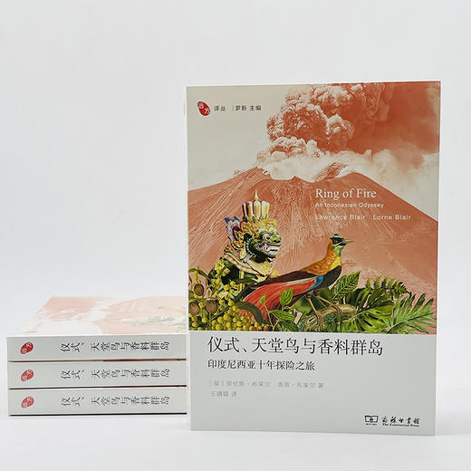 仪式、天堂鸟与香料群岛：印度尼西亚十年探险之旅(远方译丛) 商品图9