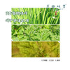 柠檬桉醇芳香防护喷雾/驱蚊液（成都仓库-顺丰快递）|100ml/瓶，来自广东中山，生产者：旗溪【合作生产，公平贸易】 商品缩略图4