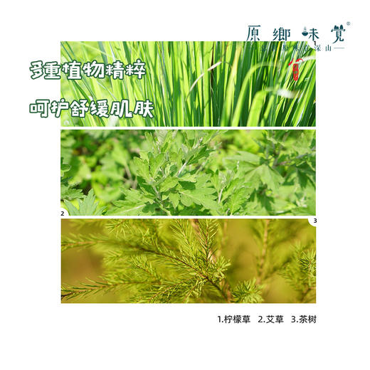 柠檬桉醇芳香防护喷雾/驱蚊液（成都仓库-顺丰快递）|100ml/瓶，来自广东中山，生产者：旗溪【合作生产，公平贸易】 商品图4