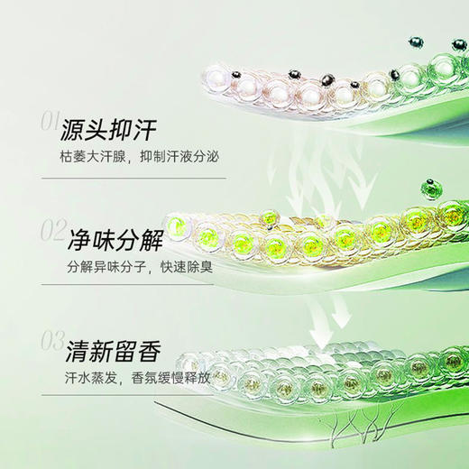 【清新干爽！涂抹自带伪体香~】爽身香体露30ml 走珠止汗露 夏季干爽腋下去异味 香体液-QQ 商品图2