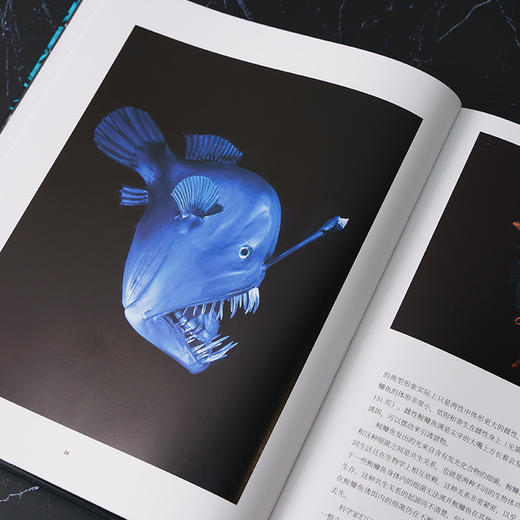 《到深海去》百余种海洋生物影像 自然史、海洋生物学、古动物学爱好之书 国家地理官方正版-分销 商品图4
