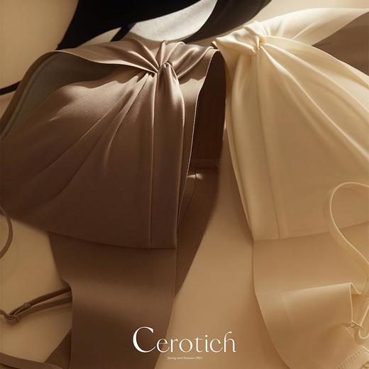 2件299！南法假日！非质量不退不换！Cerotich内衣女士薄款100桑蚕丝文胸小胸聚拢无钢圈胸罩 商品图3