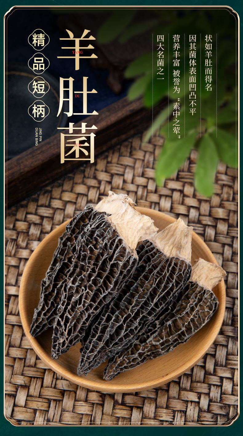 i22VifOtztSBuvrAbg2Tedf0gz8qrV6VeODl