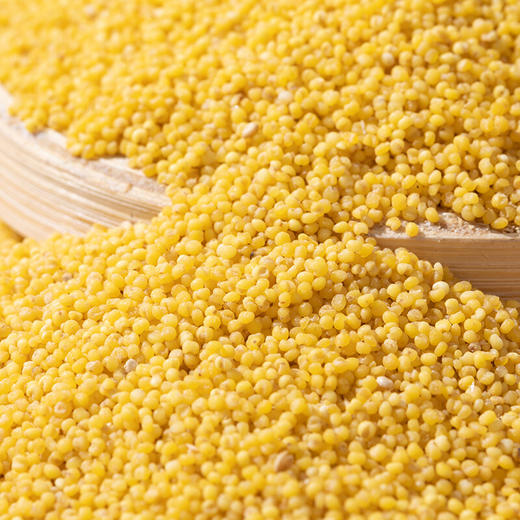 【野森林】（真空）米脂小米 1000g 商品图2