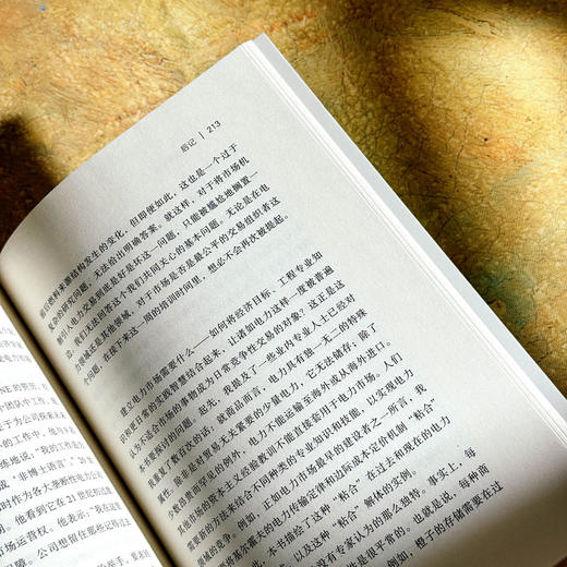 电力消费社会 薄荷实验 电力市场 插座背后的经济学 商品图13