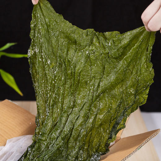 海芝宝有机海带 5斤家庭装 2.5倍泡发率 有机认证 一箱一码 非人工养殖 商品图5