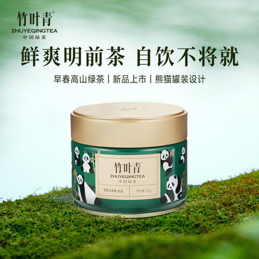 竹叶青绿茶特级茶叶明前2025年新茶四川竹叶青茶叶自己喝熊猫罐装 商品图3