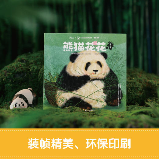 熊猫花花（全4册）成都大熊猫繁育基地官方出品 商品图4