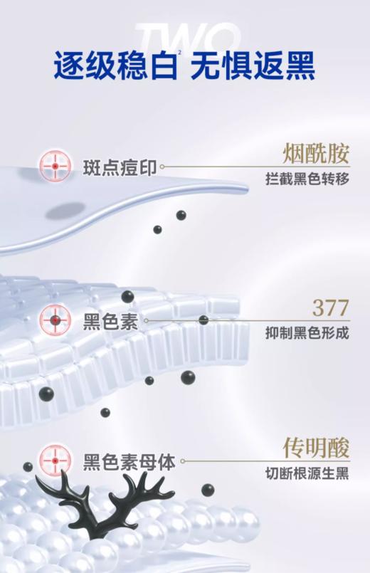 衡美肤臻白双层精华露30ml （衡美肤美白油） 商品图11