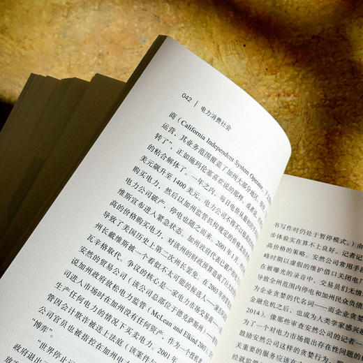 电力消费社会 薄荷实验 电力市场 插座背后的经济学 商品图10