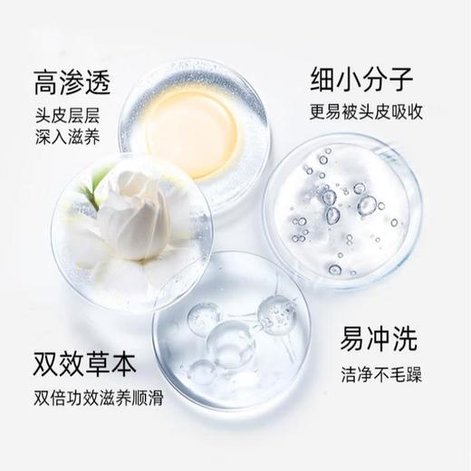 爵百莉 焕新清盈洗发露600ml 商品图1