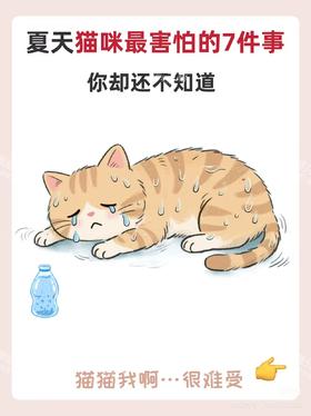 夏天猫咪最害怕的7件事 你却还不知道